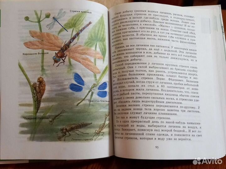 Книга