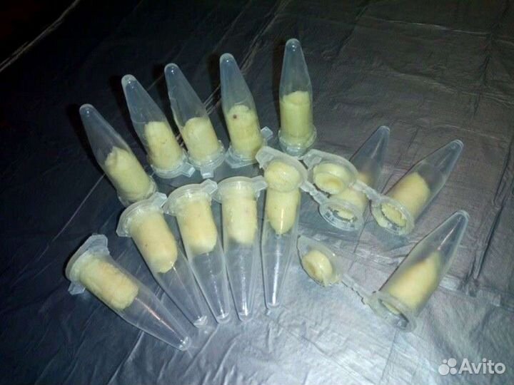 Капсулы (большие) от тараканов и насекомых