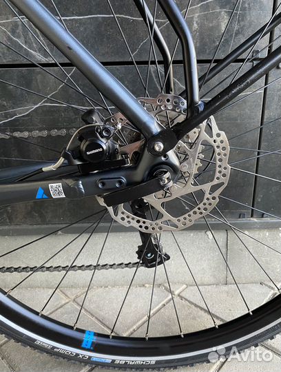 Bulls Daily Grinder 1 2019/ р. 49 см / Claris