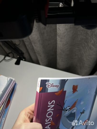 Раскраска Дисней Сезоны Дефект