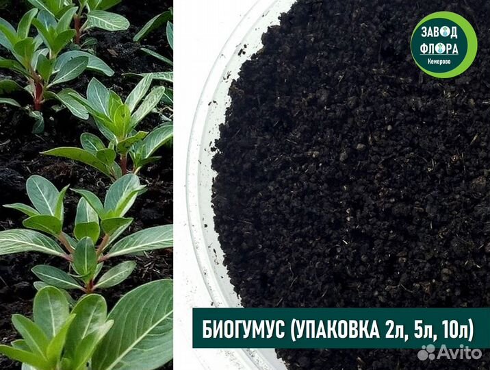 Биогумус (упаковка 2л, 5л, 10л)