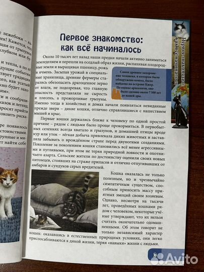 Книга про кошек