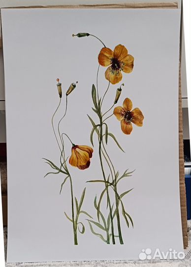 Постеры для интерьера