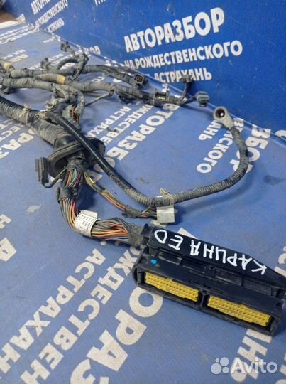 Проводка подкапотная Daewoo Matiz хэтчбек F8CV