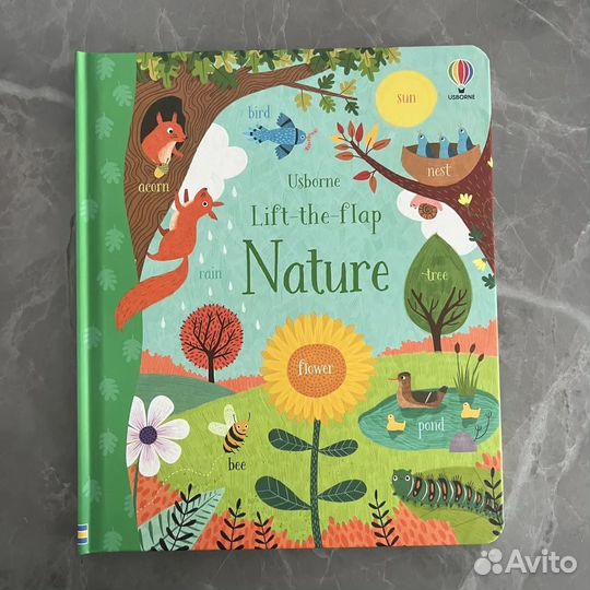 Usborne Lift-the-Flap Nature Greenwell Jessica