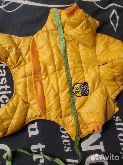 Куртка для маленьких собак