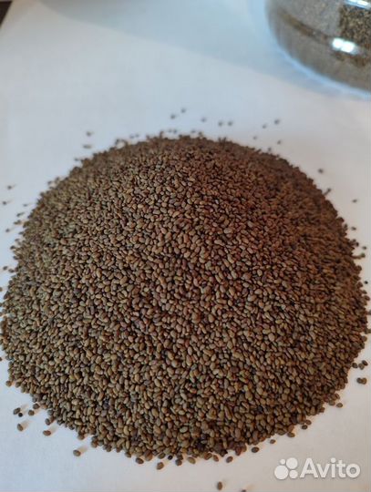 Семена люцерны