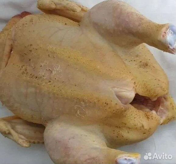 Мясо домашнего бройлера