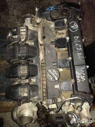 Двигатели контр. Ford Focud / Fusion / Mondeo