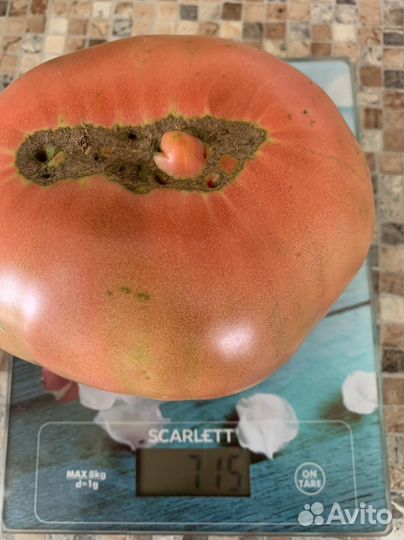 Помидоры домашние