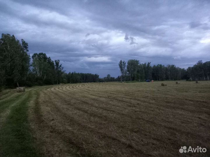 Сено в рулонах