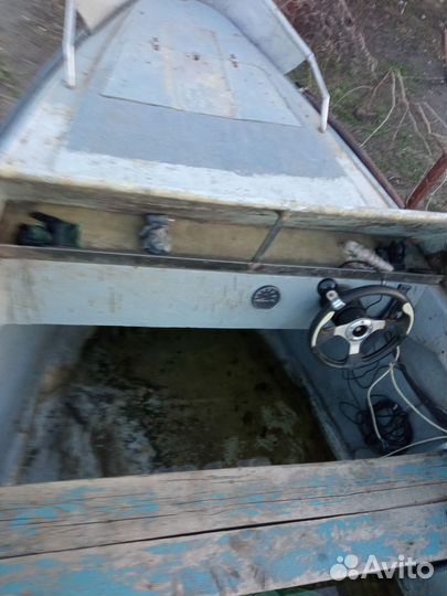 Байда тунец