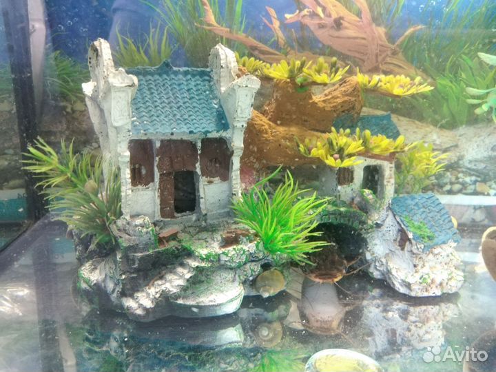 Аквариум с рыбками и всеми принадлежностями
