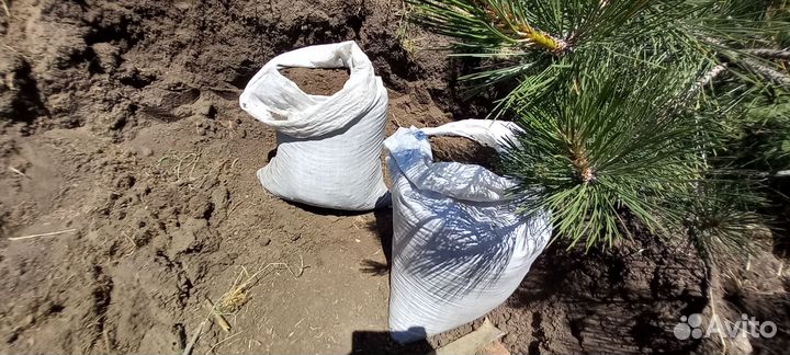 Чернозем,Навоз Крс,Земля,Перегной прелый,ЗИЛ 5т