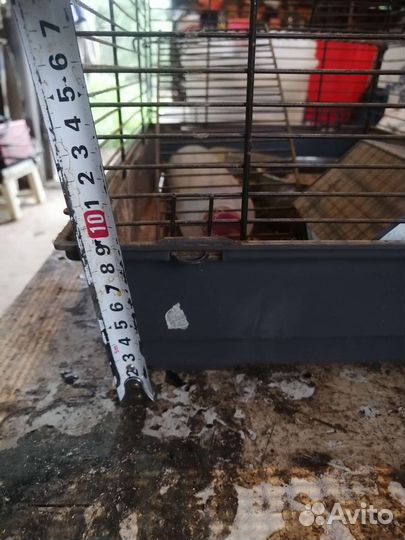 Клетка для грызунов большая