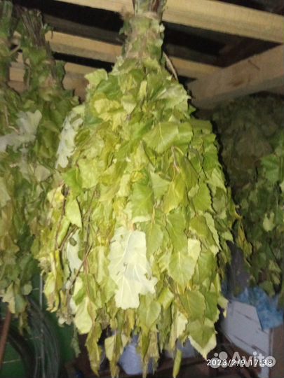 Продам, берёзовые веники