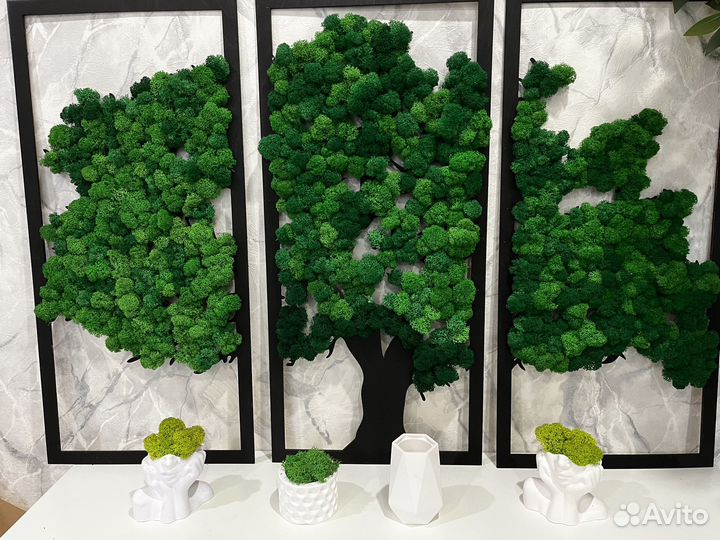 Картина из стабилизированного мха 