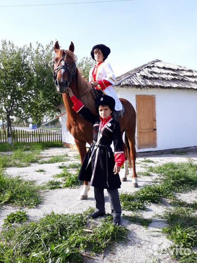 Конные прогулки г Новороссийск ст Натухаевскся