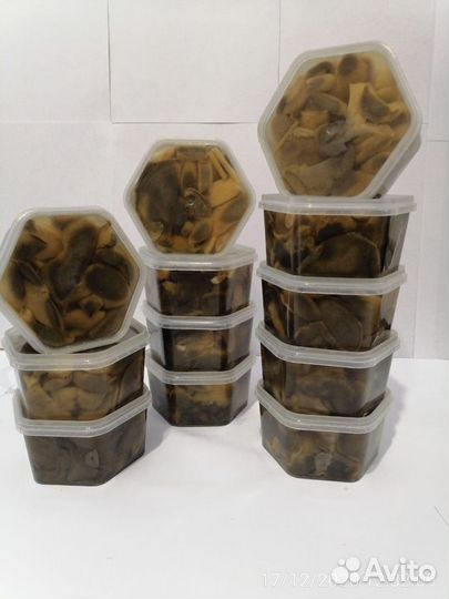 Моховик маринованный