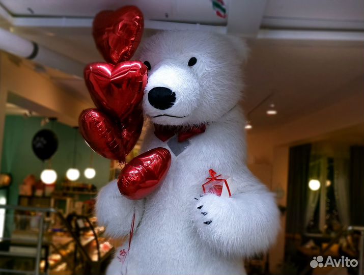 Белый мишка, поздравление Зеленоград