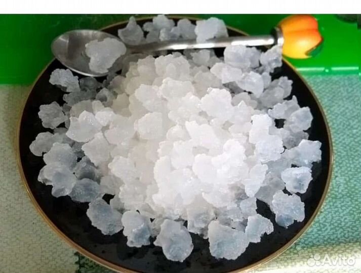 Индийский гриб (морской рис)