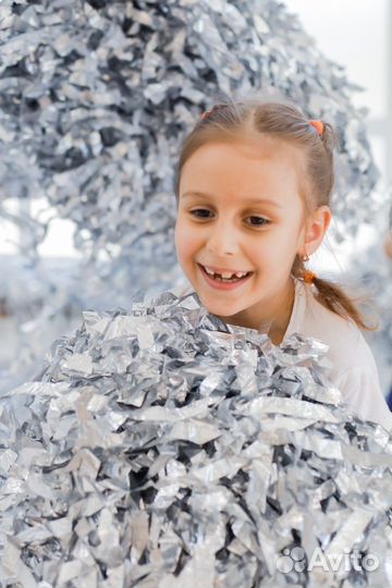 Серебряное шоу (фольгированная бумага)