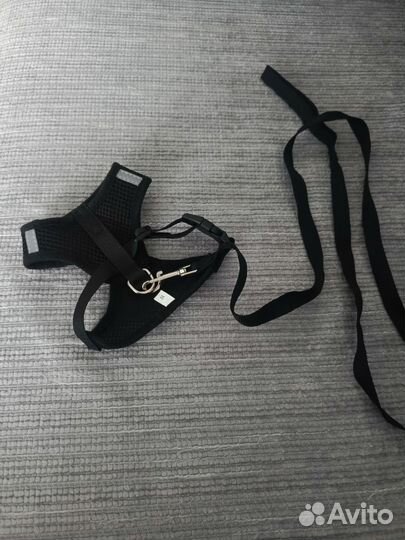 Ошейник для собак