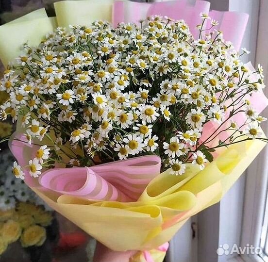 Цветы ромашки. Букеты ромашек. Цветы доставка