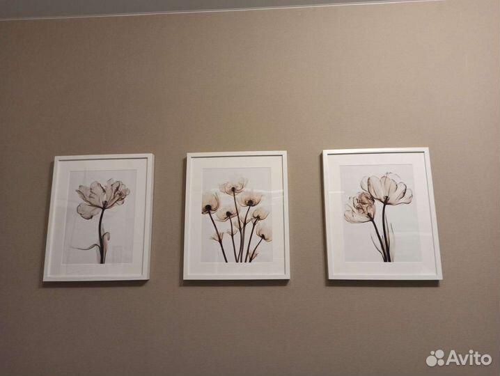 Постеры на холсте, цветы