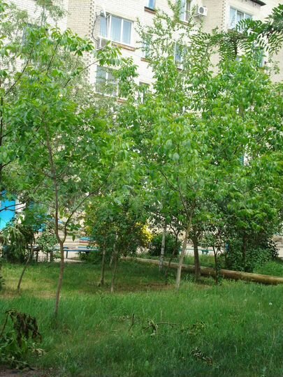 2-к. квартира, 50,8 м², 3/5 эт.