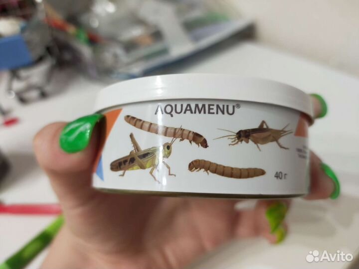 Экзомикс консервированный, насекомые