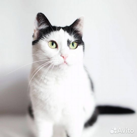 Пристраиваем Малышку