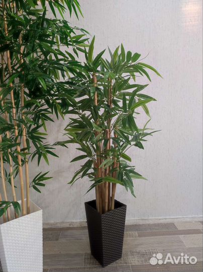 Искусственный бамбук тропический