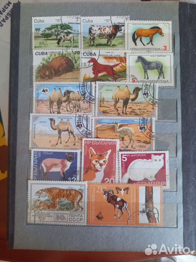 Почтовые марки