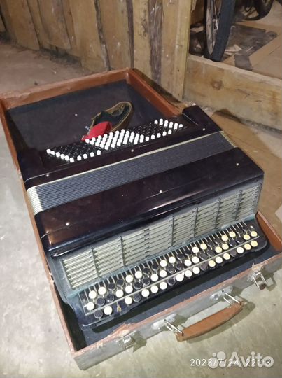 Баян тульский