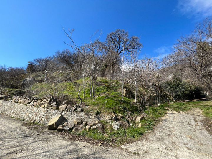 Участок 100 сот. (ИЖС)