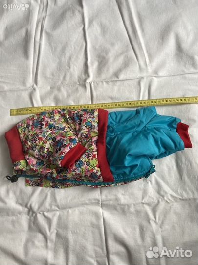 Одежда для мелких пород собак