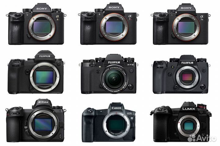 Беззеркальные фотоаппараты Sony, Olympus и другие