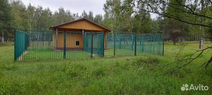 Гостиница для передержки собак