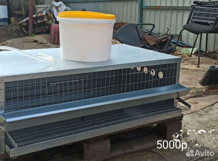 Клетки для перепелов