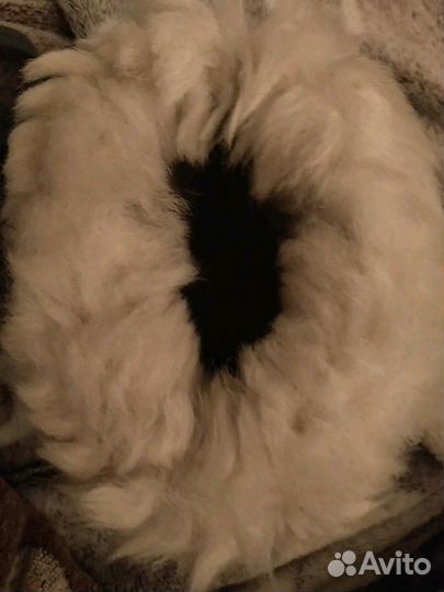 Пинетки из овчины, новые