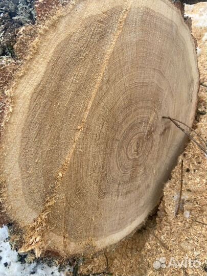 Дуб, кругляк, доска, ясень