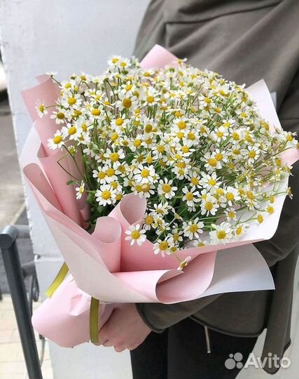 Ромашки Букет из ромашек доставка