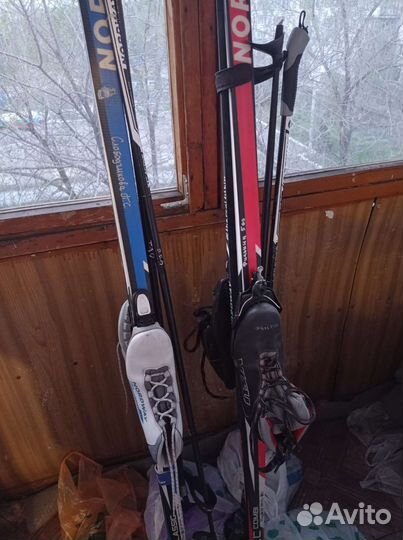 Беговые лыжи