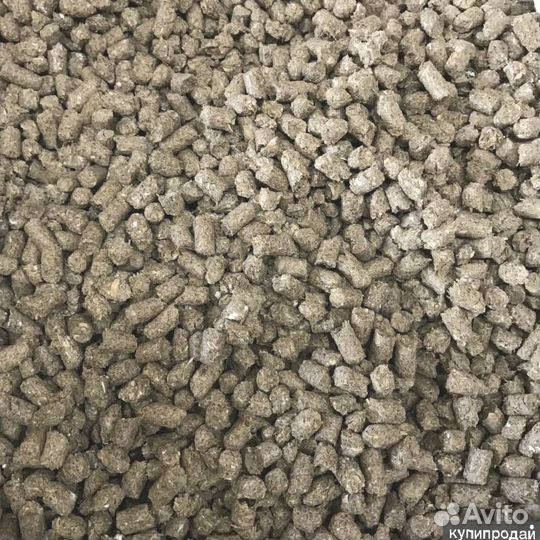 Пивная дробина кормовая