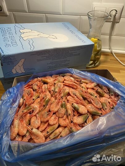 Креветка северная