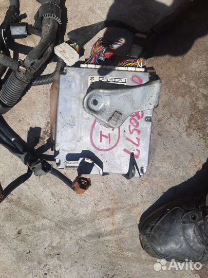 Центральная коса проводки