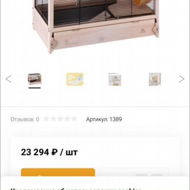 Волнистый попугай
