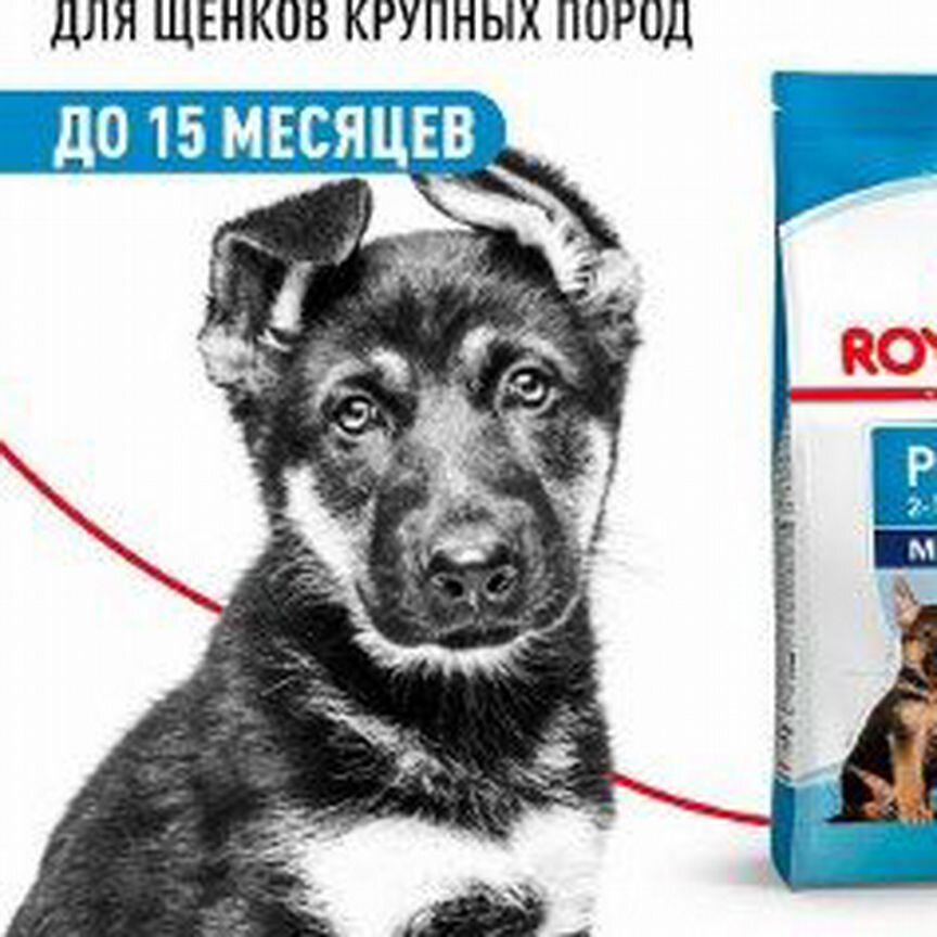 Maxi puppy PRO (макси паппи про) 20 кг