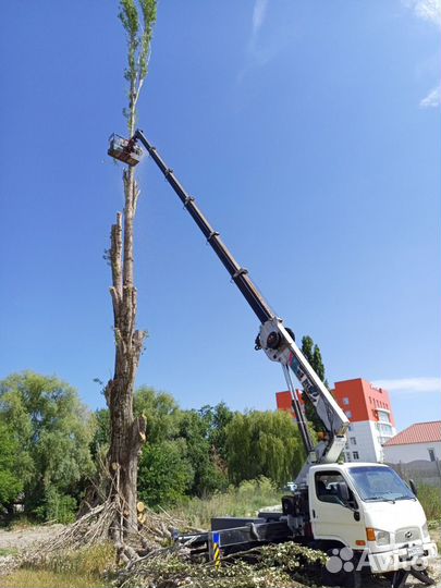 Аренда и услуги телескопической автовышки, 200 кг, 28 м